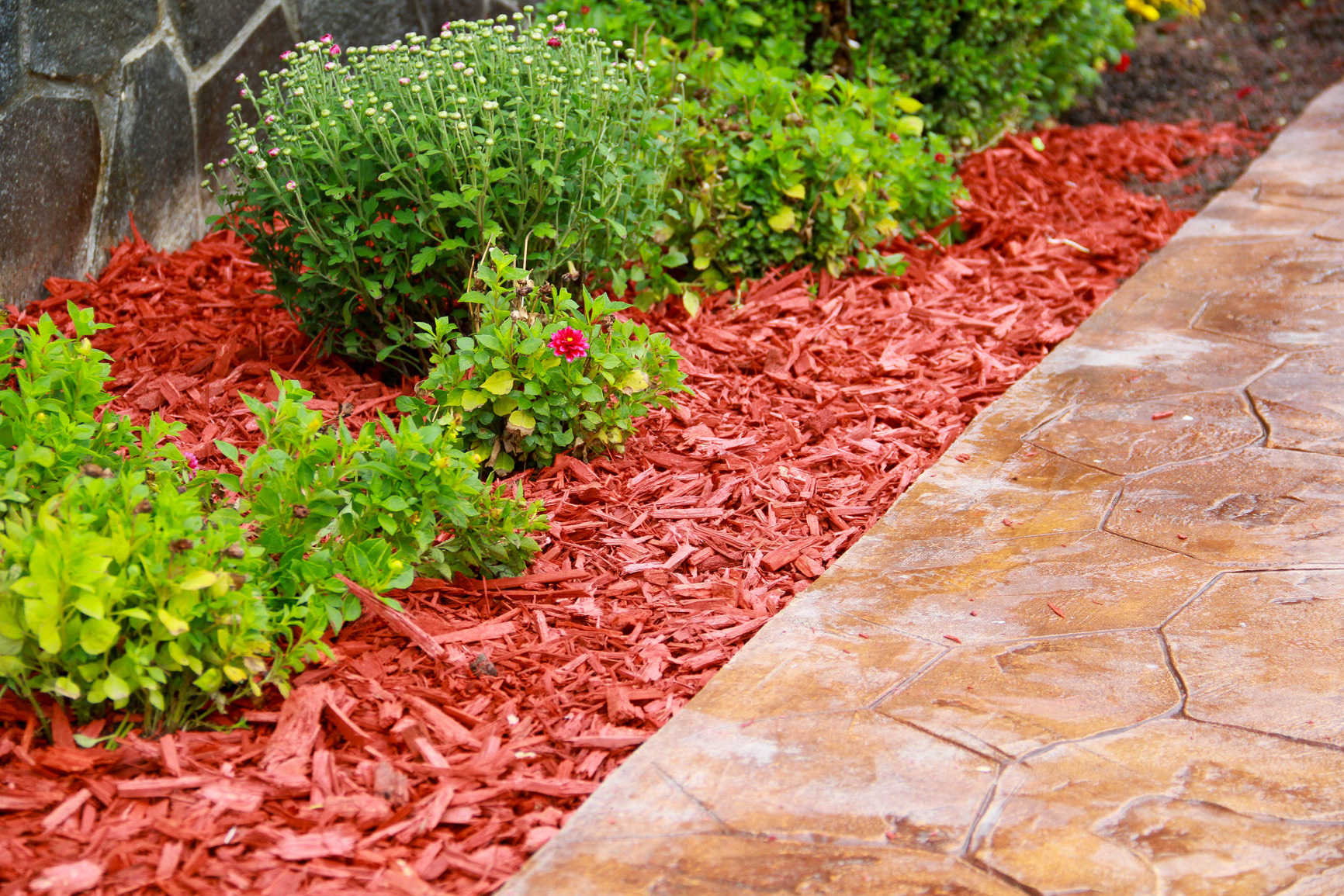 Red mulch landscaping